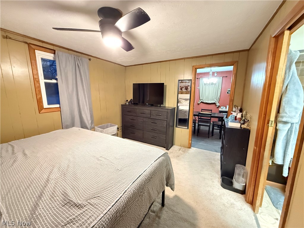 Mapledale Allotment - Residential