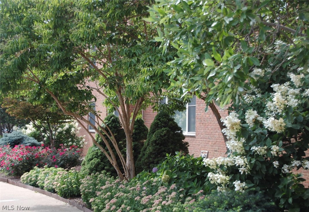 The Berkshire - Residential