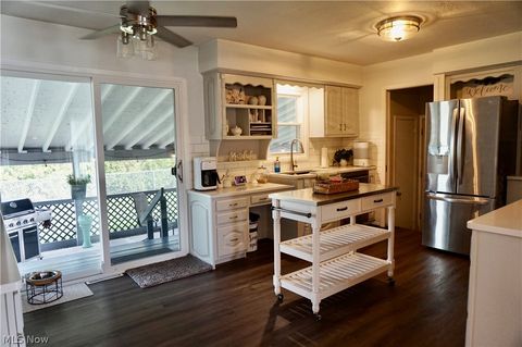 Tiny photo for 509 Meigs Avenue, Grand River, OH 44045 (MLS # 5197801)