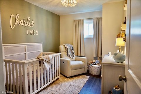 Tiny photo for 509 Meigs Avenue, Grand River, OH 44045 (MLS # 5197801)