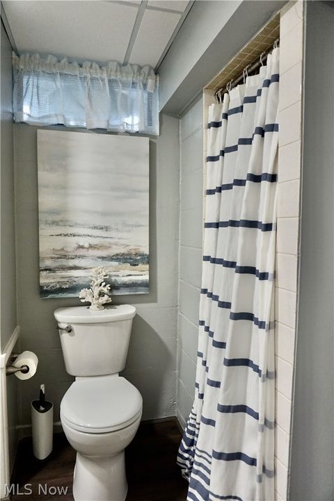 Tiny photo for 509 Meigs Avenue, Grand River, OH 44045 (MLS # 5197801)