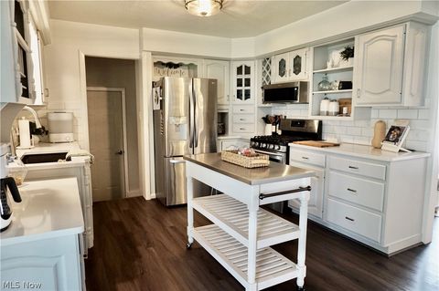 Tiny photo for 509 Meigs Avenue, Grand River, OH 44045 (MLS # 5197801)