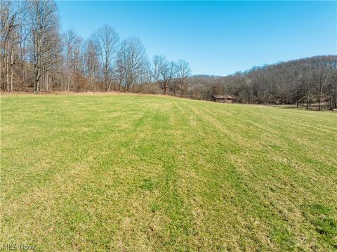 Vacant Land For Sale - Eckley Road<br/> Jewett, OH 43986