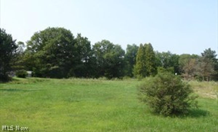 Vacant residential in Woodridge School district. Nearly one acre, beautiful home site! Per city, city water is available, electric also available.