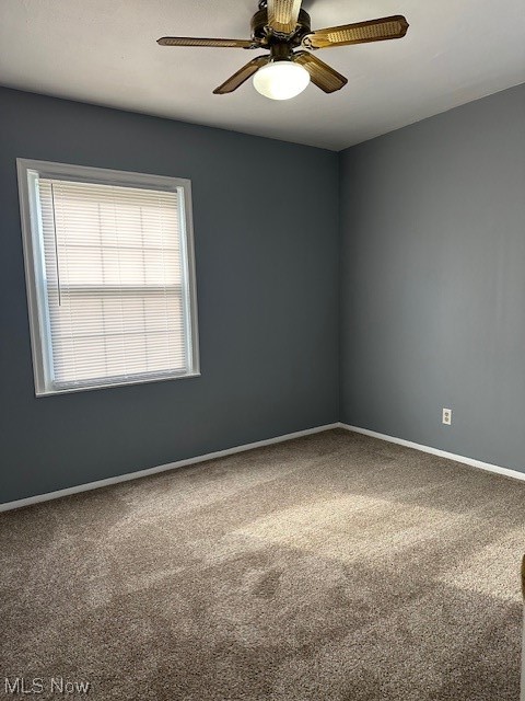 Firestone Park - Residential Lease