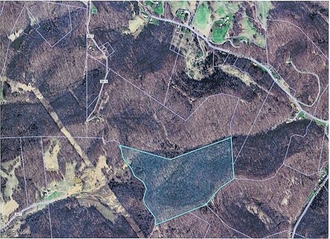 Vacant Land For Sale - Boggs Fork Road<br/> Roane County, Spencer, WV 25276