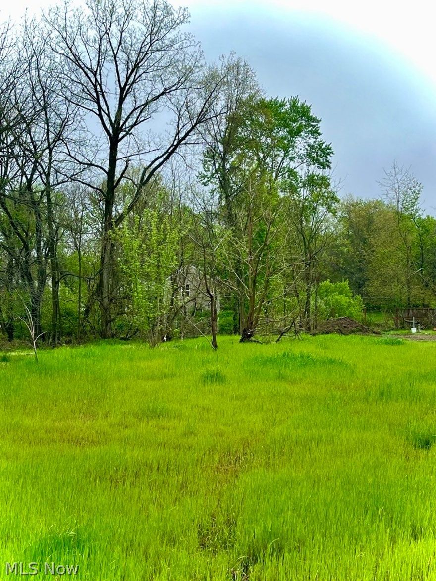Nestled in Barberton, in an established residential setting, this .18-acre vacant lot offers a unique opportunity for development. The property features a lush, open landscape bordered by mature trees, creating a natural sense of privacy and charm. Public water and sewer are already available and capped underground, making future connections convenient and cost-effective. Ideally located, this lot provides easy access to nearby parks, restaurants, and healthcare facilities, blending neighborhood tranquility with everyday convenience. Whether you’re considering a small business venture or an investment opportunity in a growing area, this property offers flexibility and strong potential in a desirable location. The lot is Currently zoned as commercial, the Buyer must complete own due diligence to transfer the property to residential with the city.
