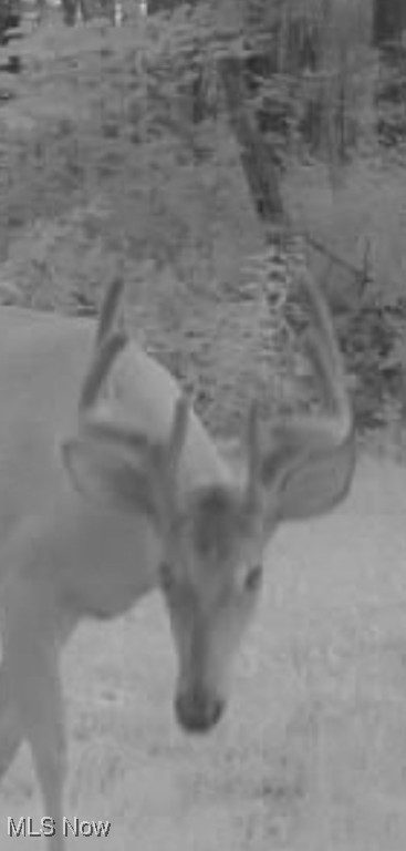 Lake Milton, Ohio 44429, United States, 3 Bedrooms Bedrooms, ,2 BathroomsBathrooms,Residential,Active,163238