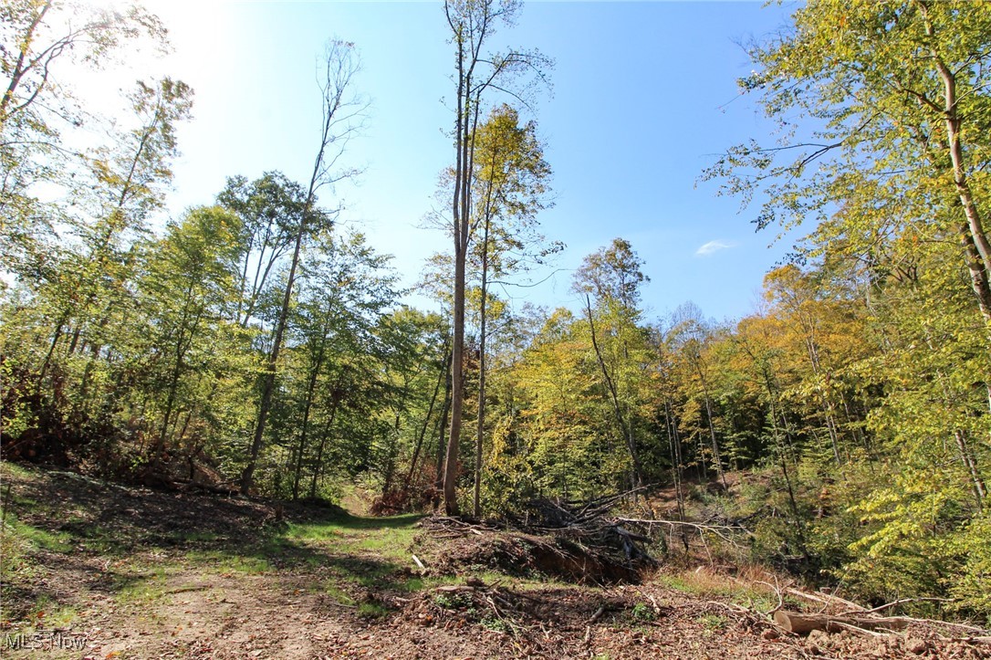 Norwood View Add - Land