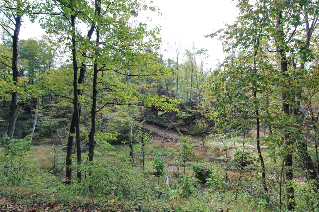 Norwood View Add - Land