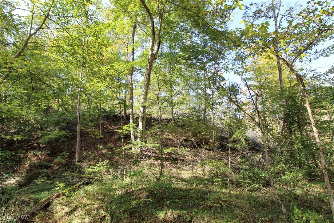 Norwood View Add - Land