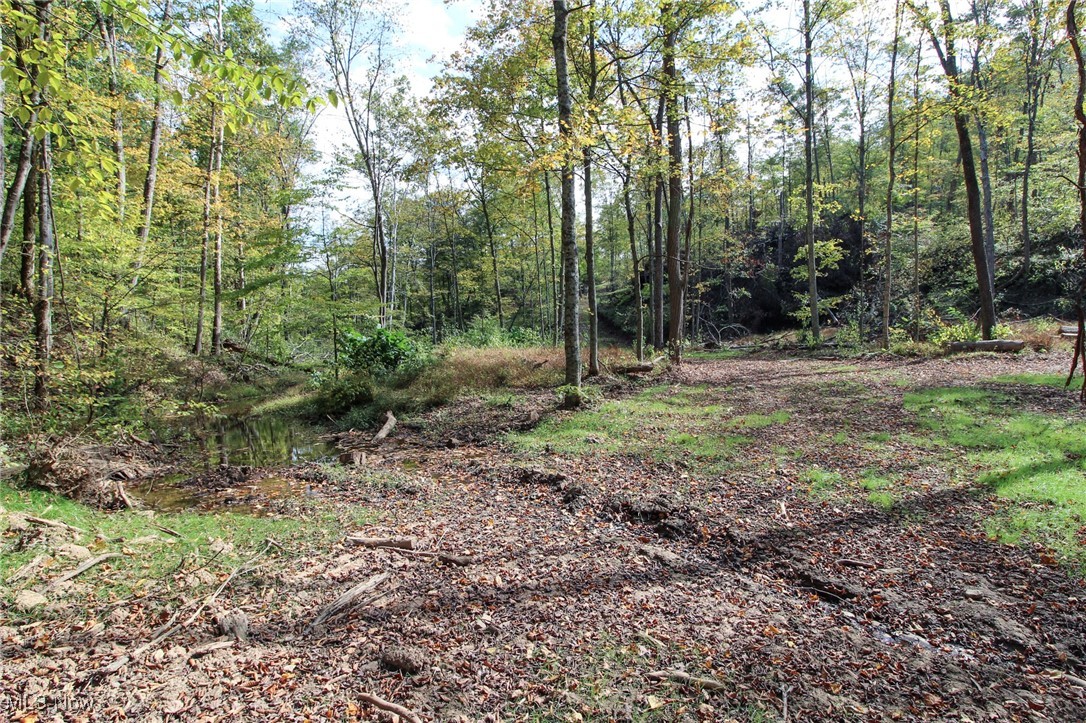 Norwood View Add - Land