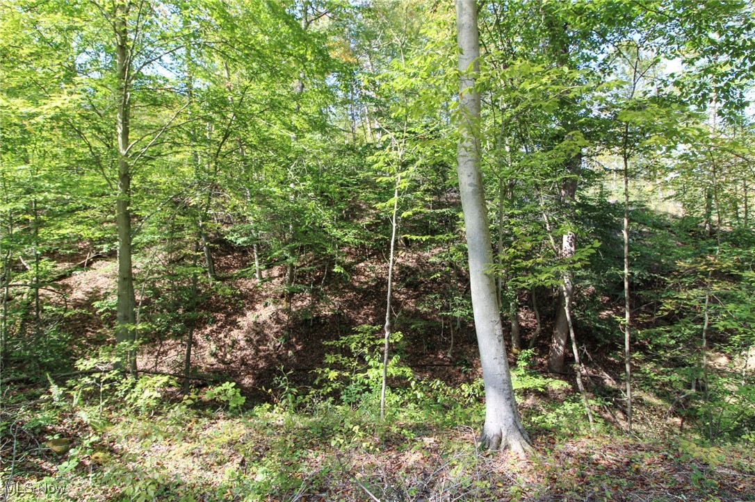 Norwood View Add - Land