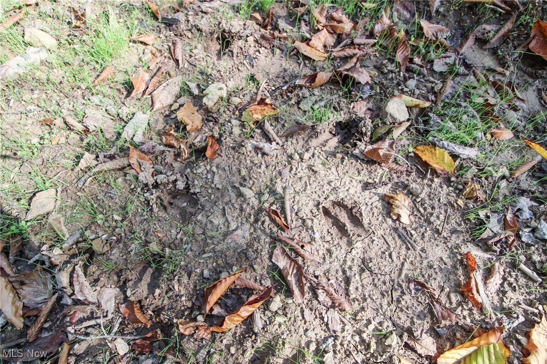 Norwood View Add - Land