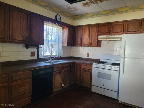 Tiny photo for 344 W Main Street, East Palestine, OH 44413 (MLS # 5163492)
