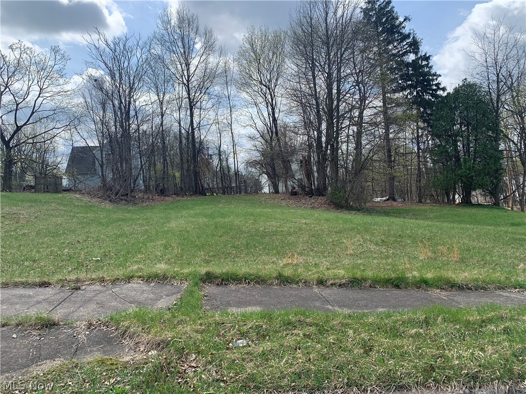 Photo 1 of 1 — 861 Parkwood Avenue, Youngstown, OH 44502