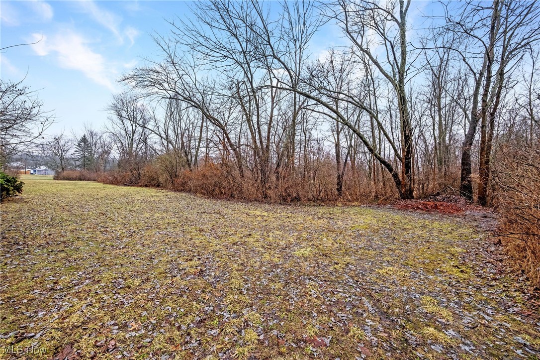 Alfred Road, Akron, Ohio image 5
