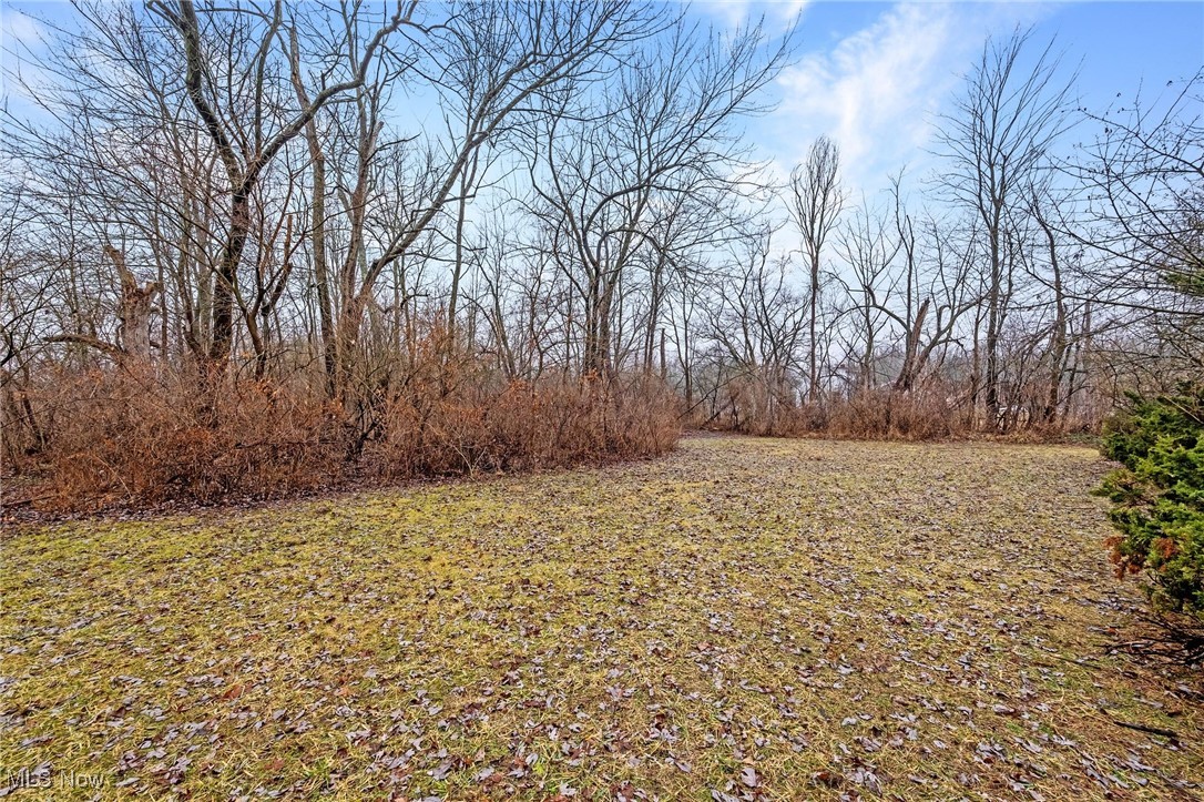 Alfred Road, Akron, Ohio image 6
