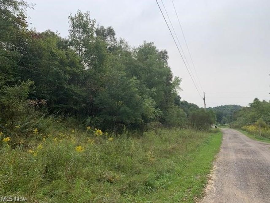 Located just outside of town is this great 5.8 acres of mostly wooded lot with county water and electric available.  With newer homes in the area and many wildlife animals.   There's a small one room shed on the property with no utilities to it but you could hunt out of.  Restrictions on the property do include no mobile homes.  See deed for other restrictions as well.