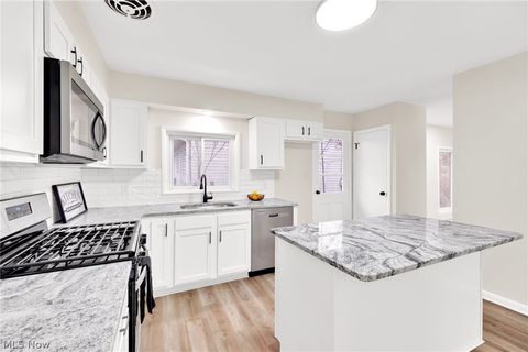 Tiny photo for 1338 Oak Avenue, Barberton, OH 44203 (MLS # 5187957)