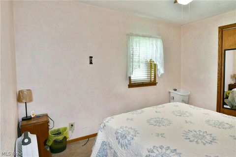 Tiny photo for 4995 Parkman Road NW, Warren, OH 44481 (MLS # 5204117)