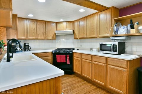 Tiny photo for 4995 Parkman Road NW, Warren, OH 44481 (MLS # 5204117)