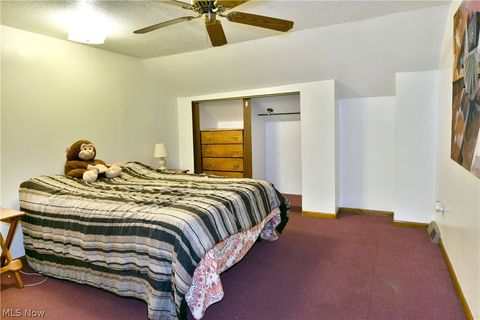 Tiny photo for 4995 Parkman Road NW, Warren, OH 44481 (MLS # 5204117)