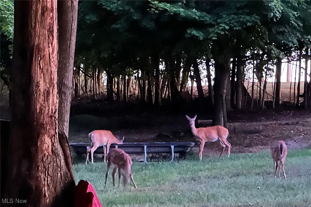 United States Military Lands - Residential