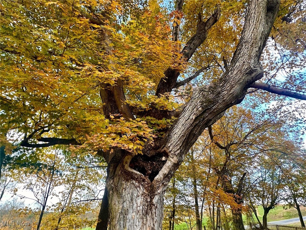 United States Military Lands - Residential