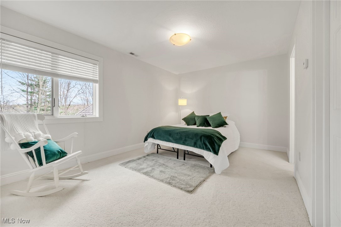 3025 Halle Drive, Medina, Ohio image 33
