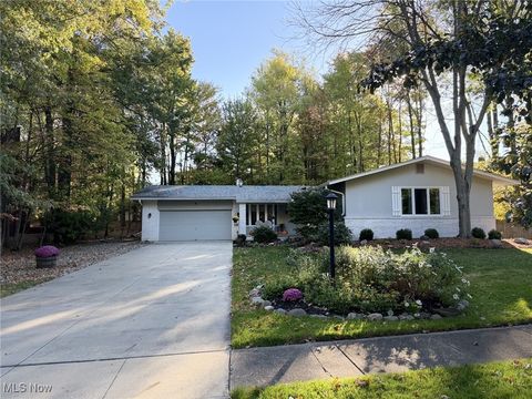 11179 Fawn Meadow Lane Strongsville OH 44149