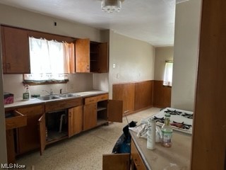 Youngstown Steel Allotment - Residential