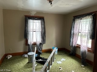 Youngstown Steel Allotment - Residential