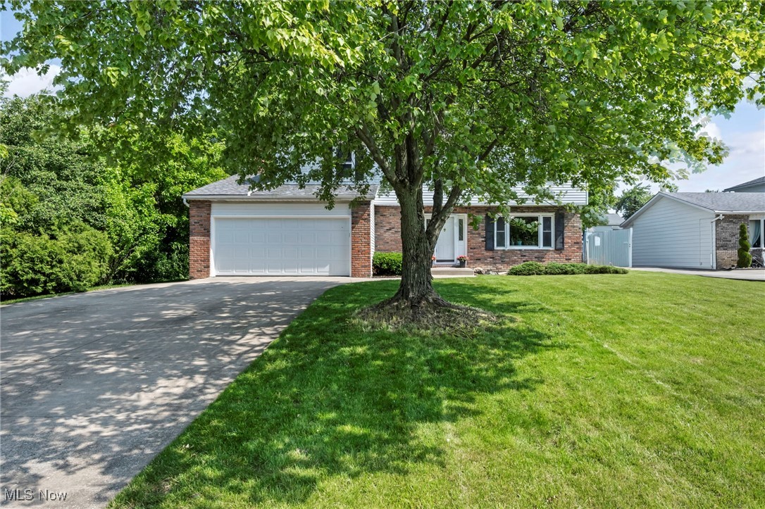 3895 Mars Drive