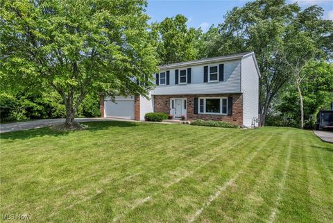 3895 Mars Drive Brunswick OH 44212
