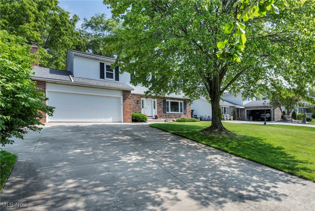 3895 Mars Drive