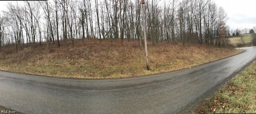 Corner of Shetler Rd. and SR 39. 1.393 acres, perfect for B&B cabins. Property lines are marked, feel free to walk the property