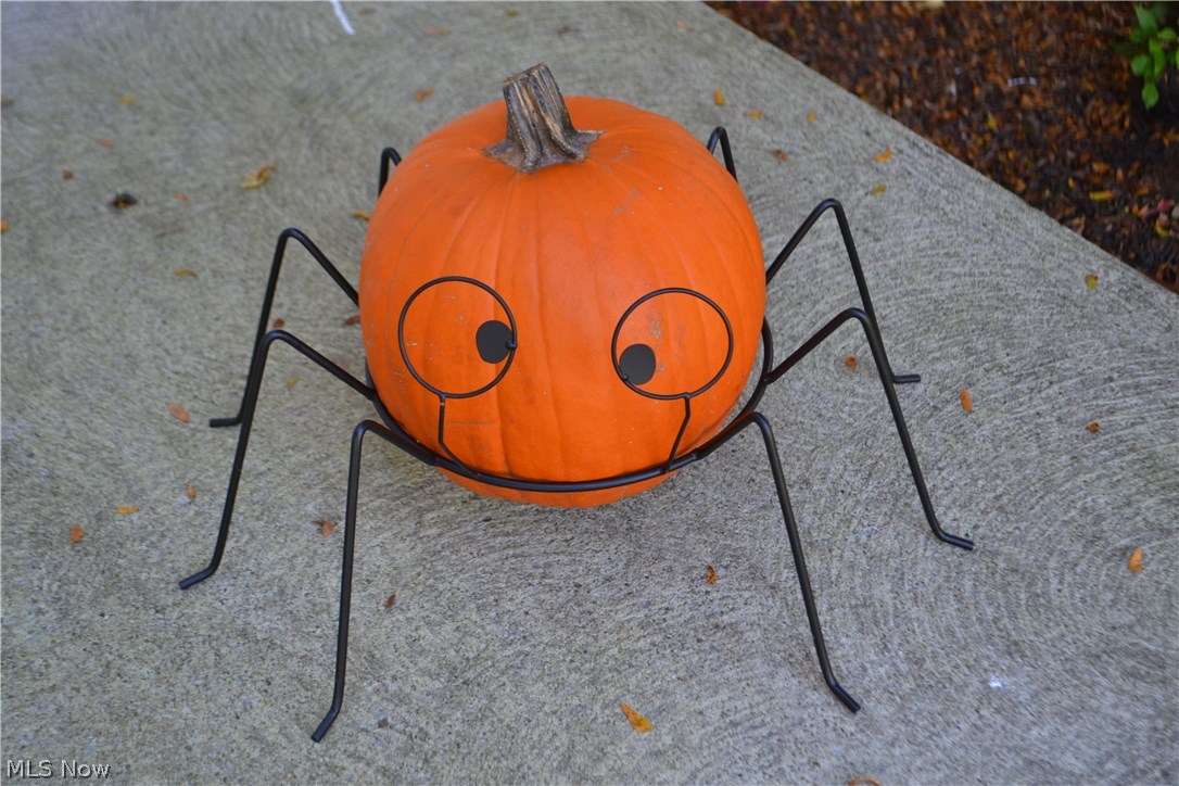 South Side Park - Residential