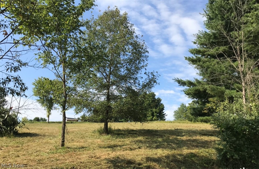 Lake Buckhorn Sub - Land