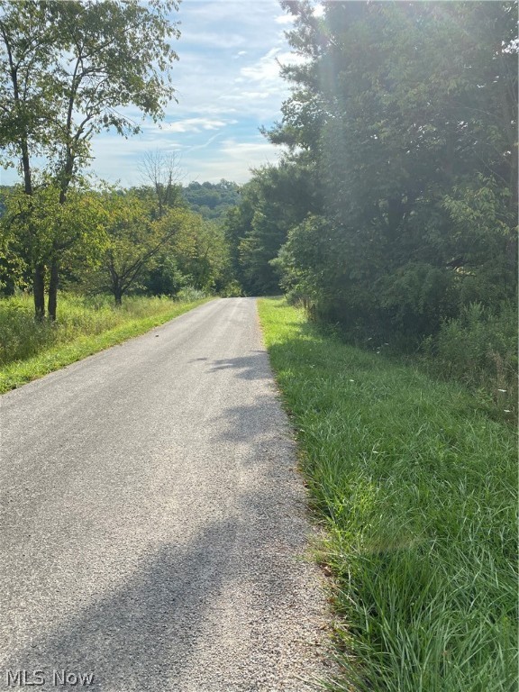 Lake Buckhorn Sub - Land