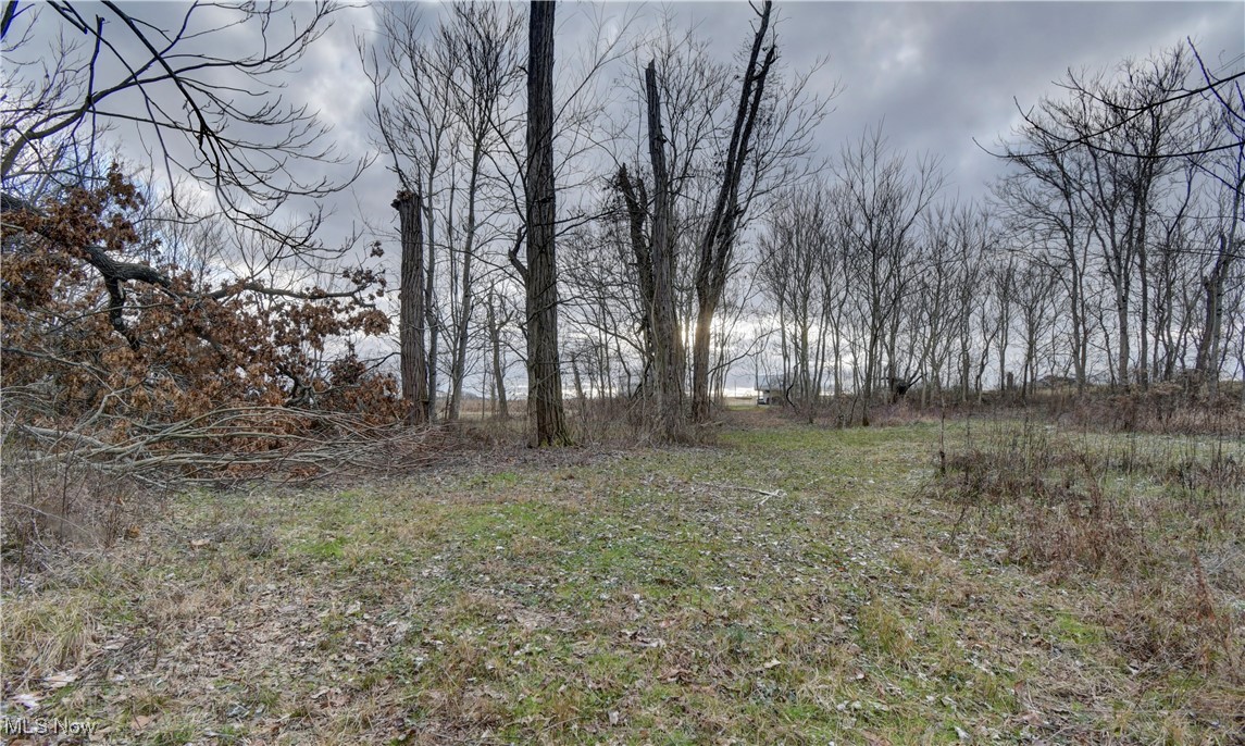 71330 Old Twenty-one Road, Kimbolton, Ohio image 38