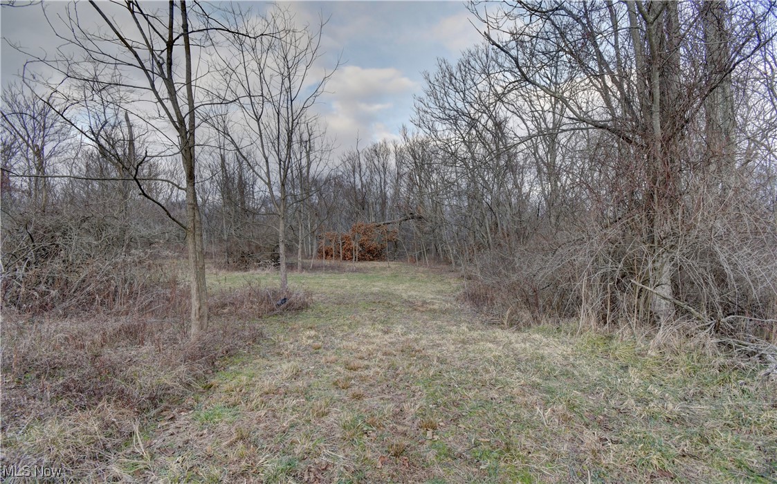 71330 Old Twenty-one Road, Kimbolton, Ohio image 30