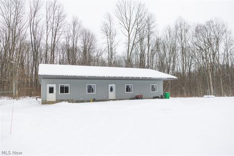 Homes For Sale - 3542 Mann Road<br/> Ashtabula County, Andover, OH 44003