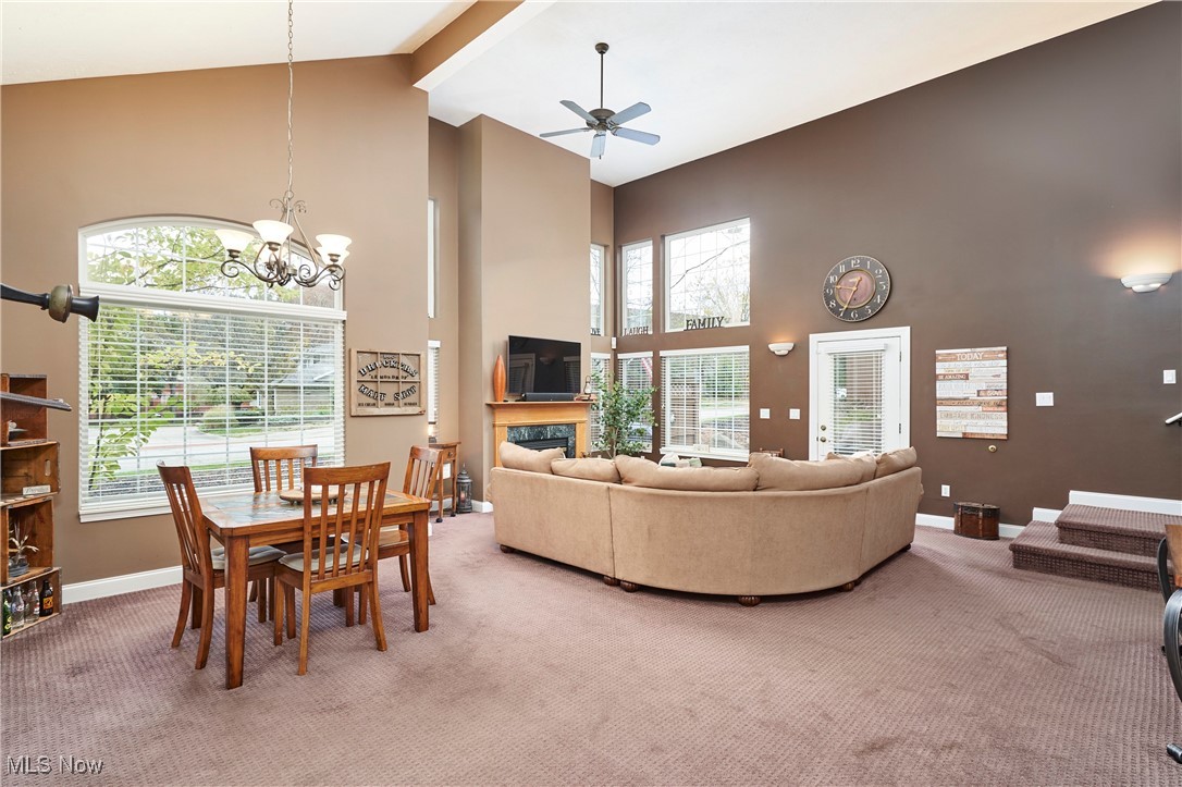 Townhomes/Canal Park - Residential