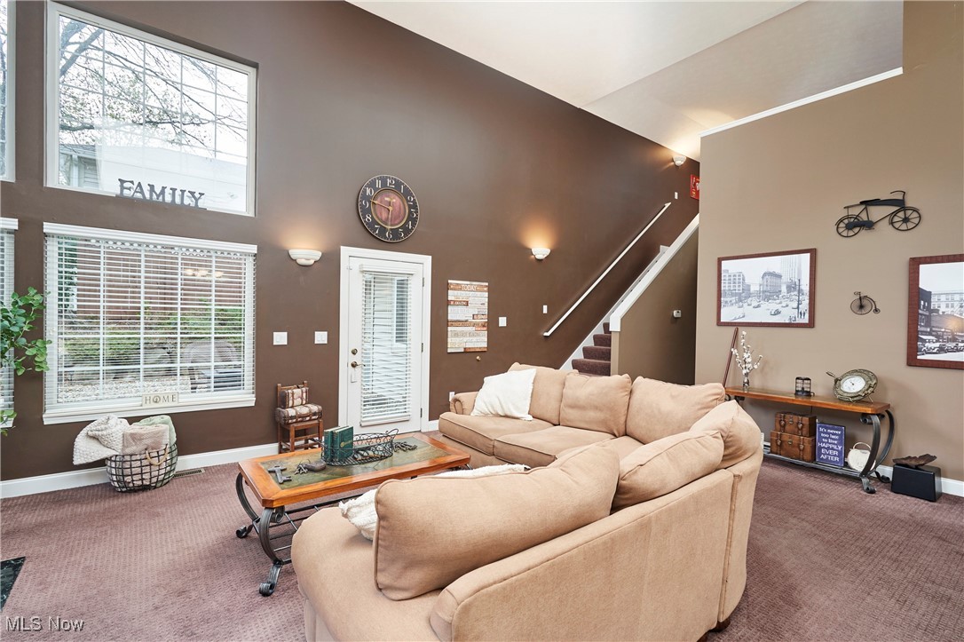 Townhomes/Canal Park - Residential