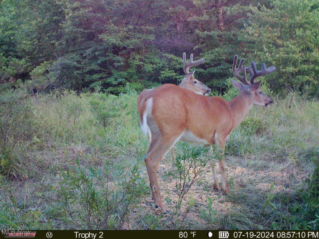 Cannelville Rd, Roseville, Ohio image 35