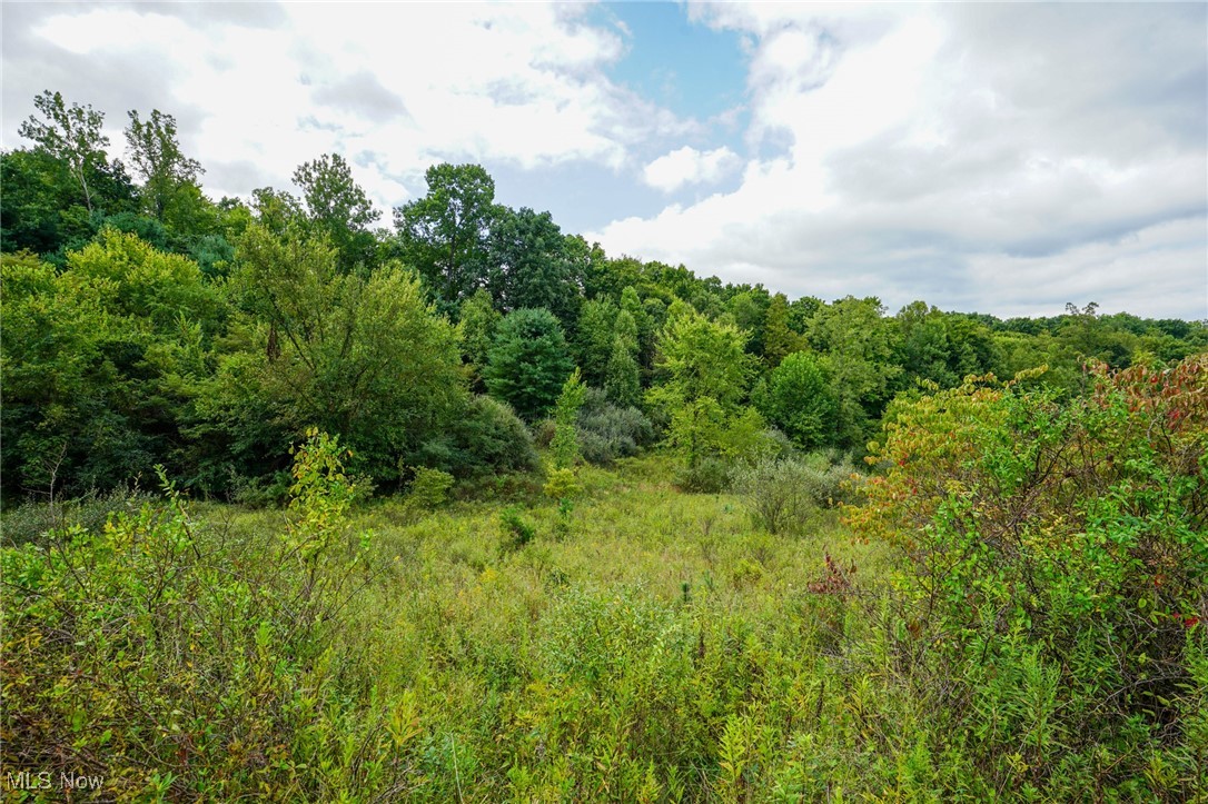 Cannelville Rd, Roseville, Ohio image 4