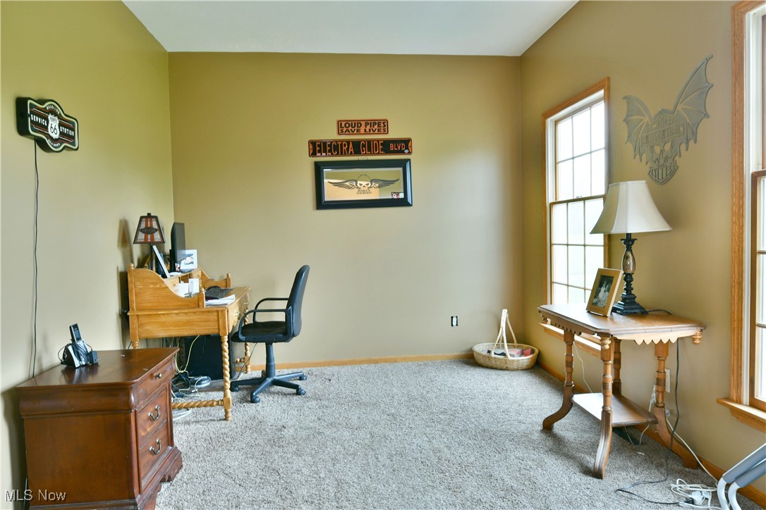 6591 N Park Avenue, Cortland, Ohio image 10