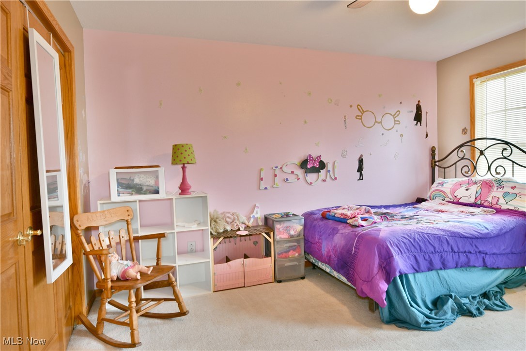 6591 N Park Avenue, Cortland, Ohio image 29