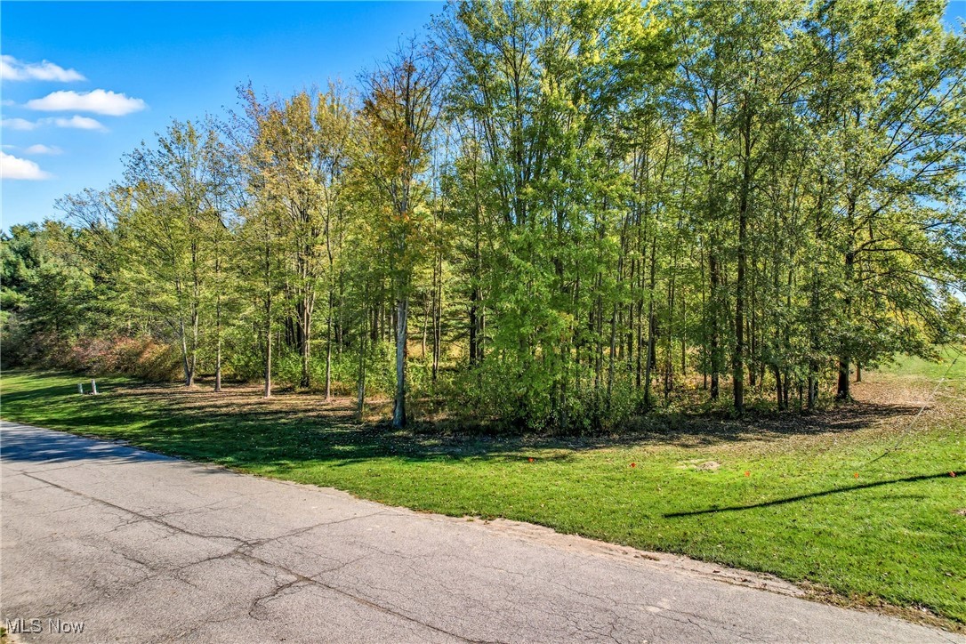 Rustling Pines Ph I - Land